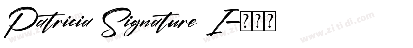 Patricia Signature I字体转换